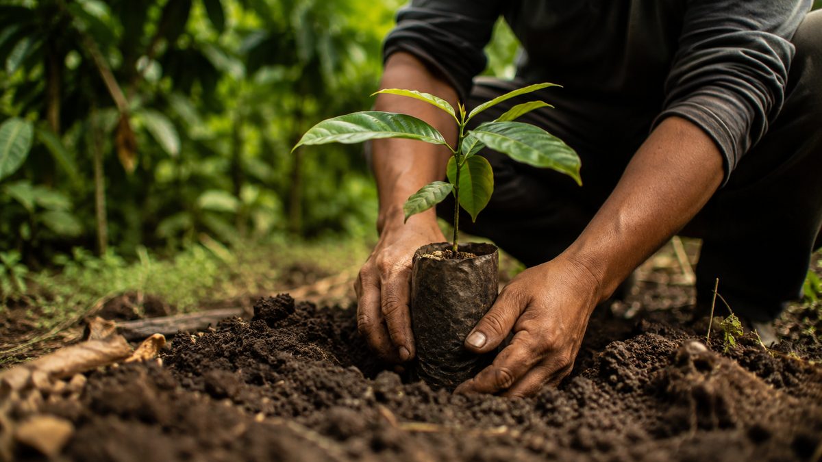 Inputs & Farm Care